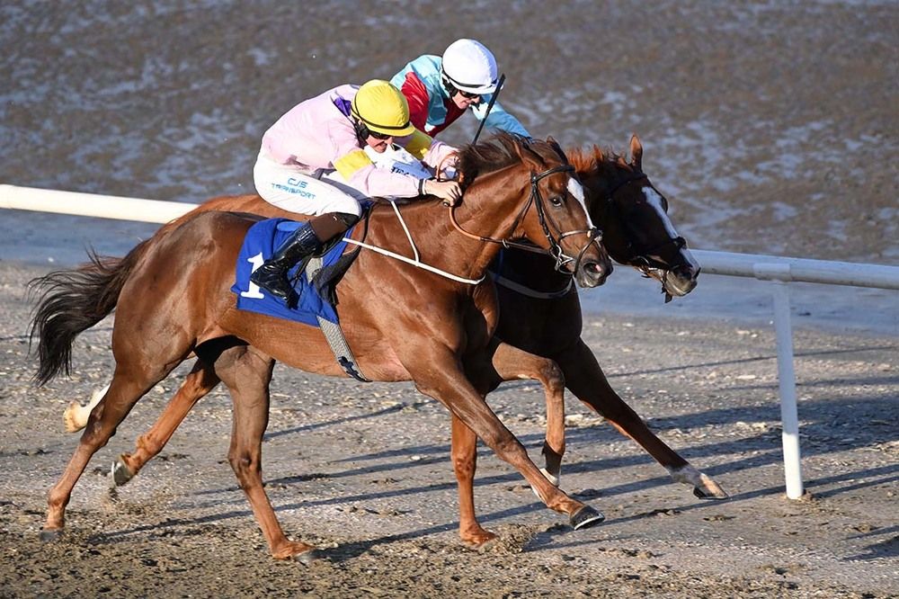 Allo Arry, near side, shades Expound