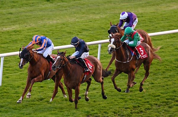 Erato (far side) duels with Deadly Nightshade 