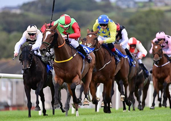 Notturno (green and red) 