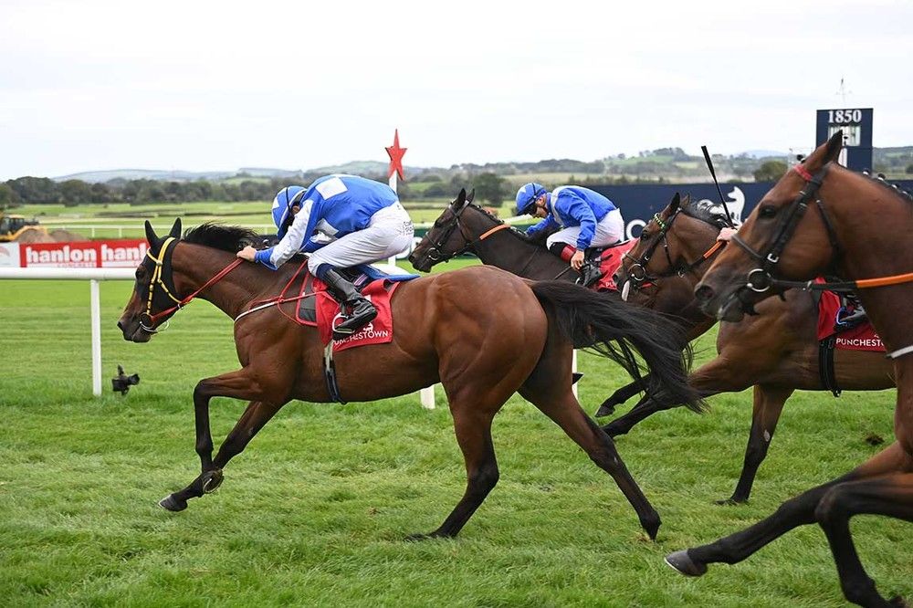 Casheldale Lad (outside) gets up to win on debut at Punchestown