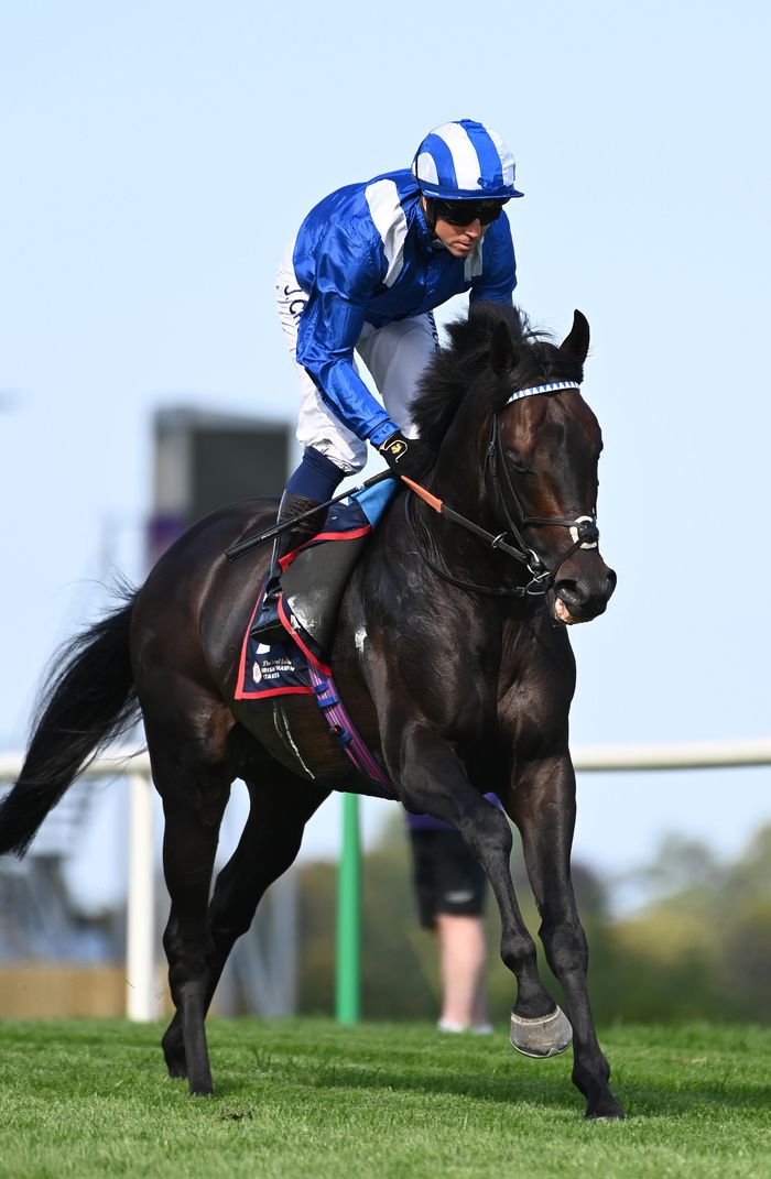 Alflaila pictured at Leopardstown last season