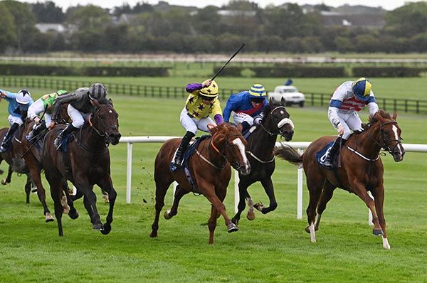 Bright Stripes has the field beaten in Naas