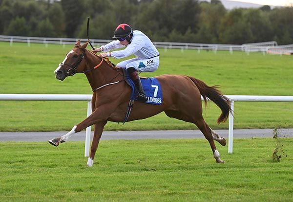 Sharp Object and Alex Harvey 