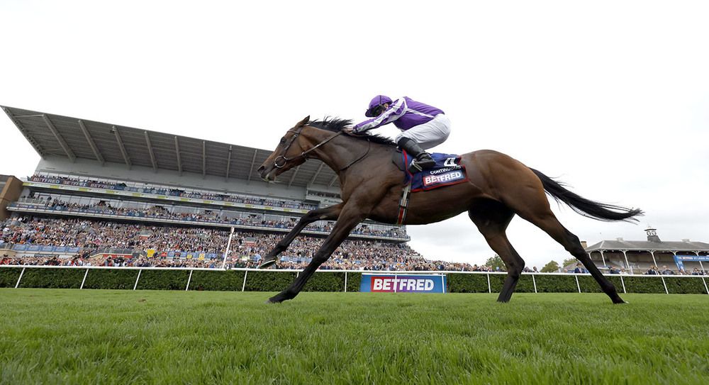 Continuous and Ryan Moore winning The Betfred St LegerDoncaster 16.9.23Healy Racing