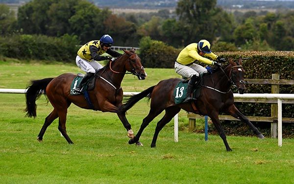 Meet My Loreley goes for home under Finny Maguire