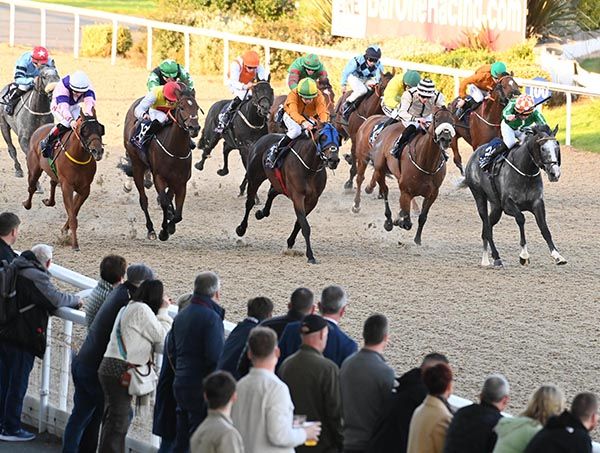 Rockbury Lad (right) and Leigh Roche 