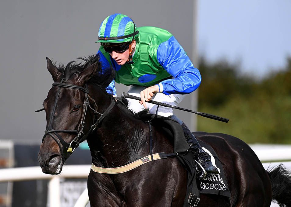 Go Sioux Me and Ben Coen win at Down Royal for trainer James Nash Healy Racing