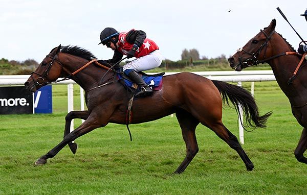 Fleur In The Park looked a smart prospect when making a winning debut at Roscommon. 