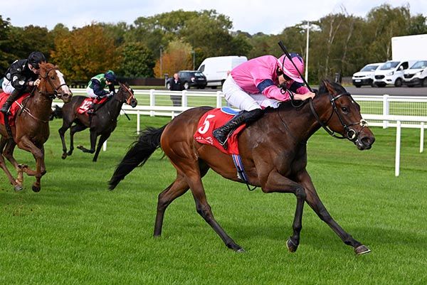 Bonbon is pushed out by Wayne Hassett