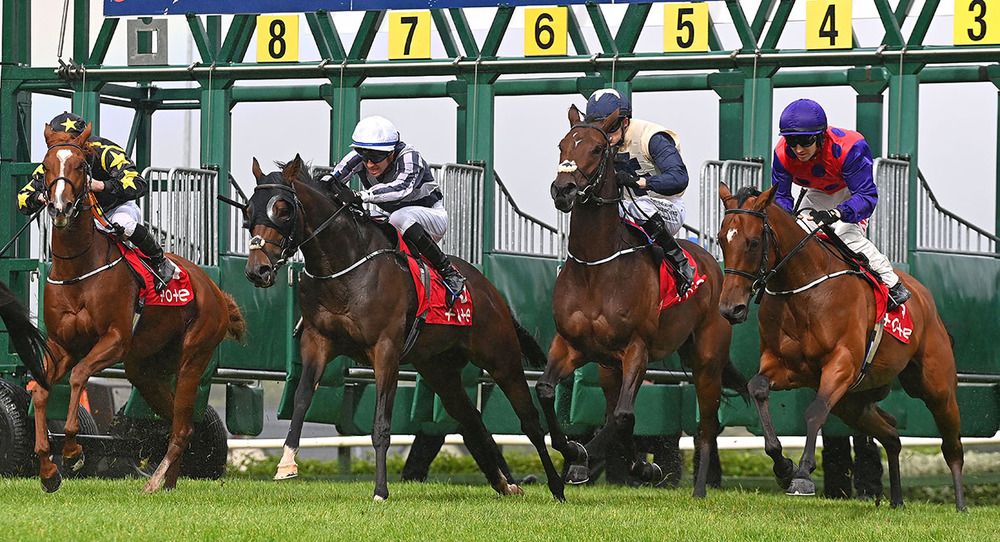 Simpson's Paradox (blinkers) 