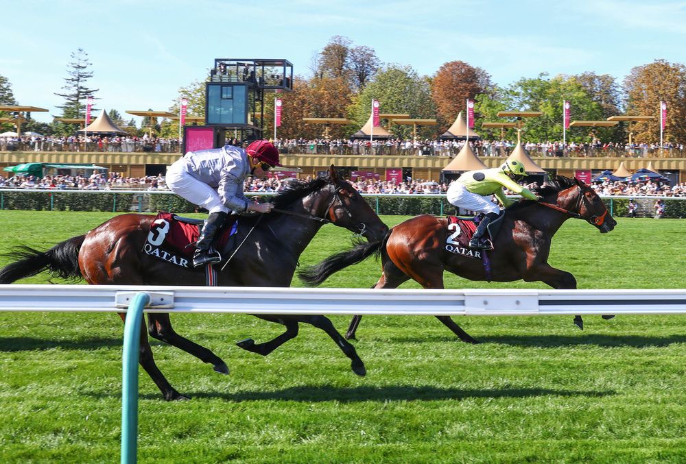 Rosallion leads home Unquestionable 