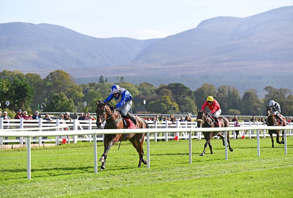 Solitary Man is pushed out by Darragh O'Keeffe