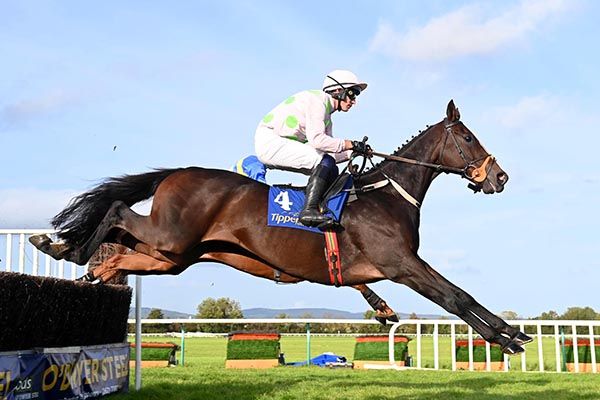 Sharjah and Paul Townend pictured on their way to victory