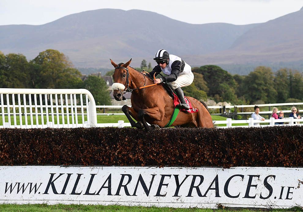 Read To Return and Phillip Enright pictured on their way to victory