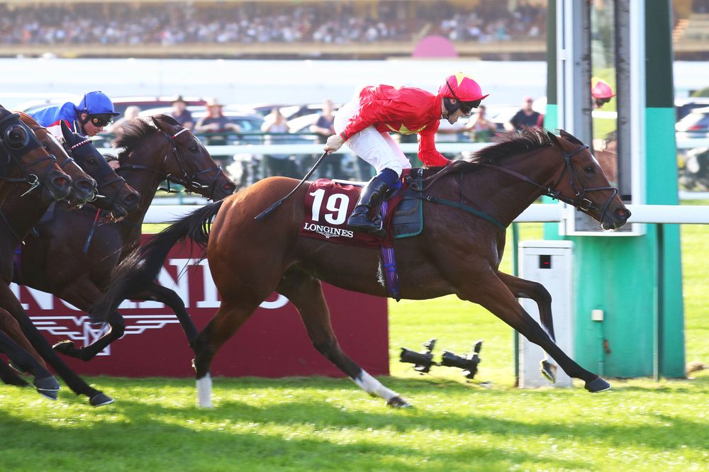 Highfield Princess winning at Longchamp 