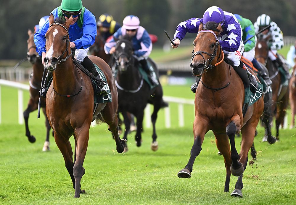 Photosynthesis, right, gets the better of Annie Edson Taylor 