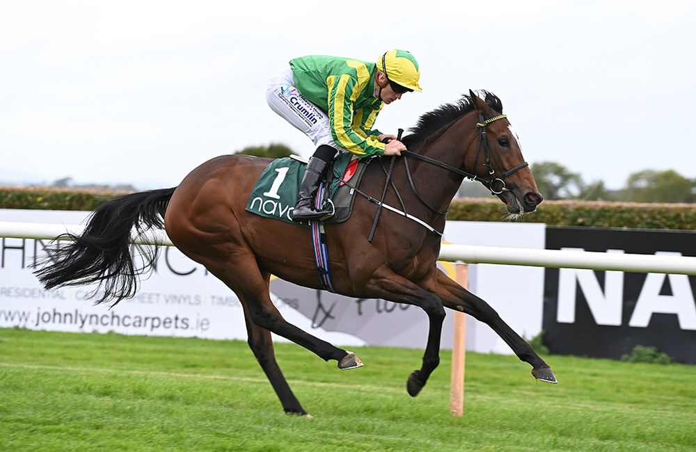 Solar Breeze runs away with the first division of the Yellow Furze Handicap