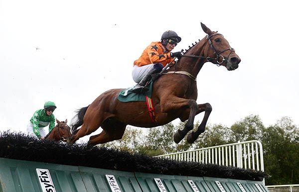 Nt Field Minnesota and Paul Townend