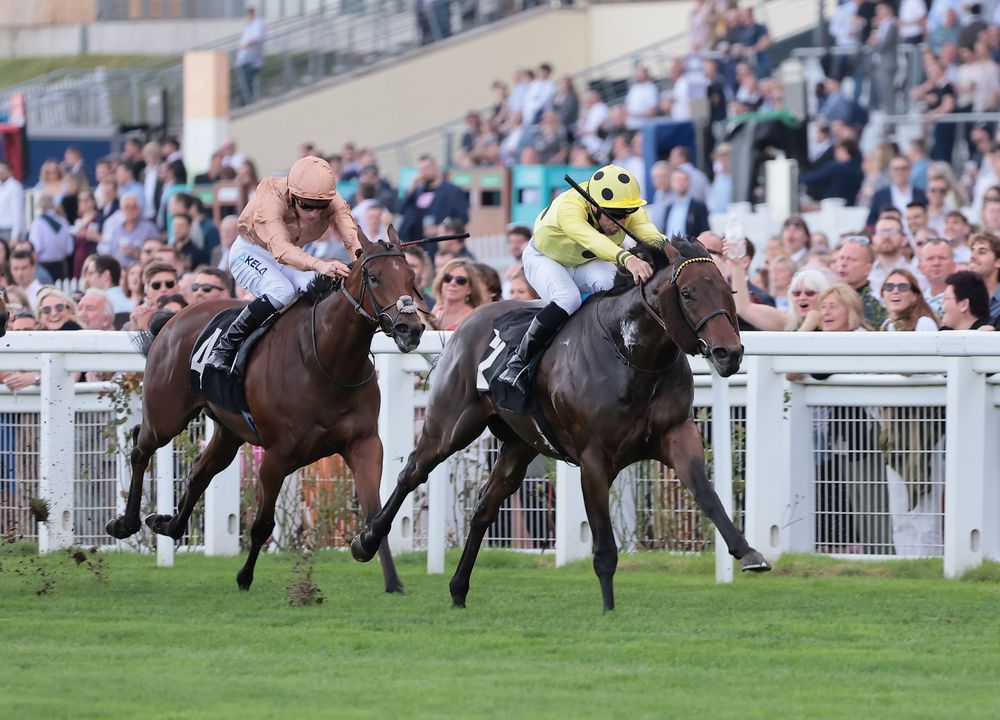 Emaraaty Ana pictured on his way to victory at Ascot on Saturday