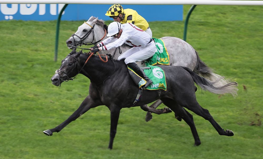Alsakib could be set for a winter in Qatar after latest Newmarket win 