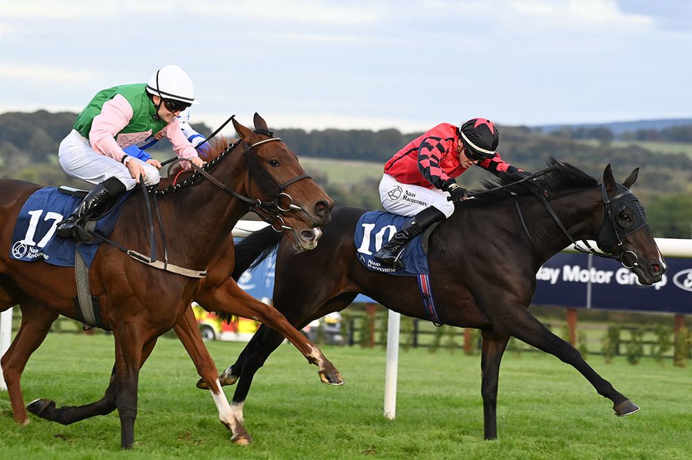 Prairie Dancer (red) holds on to beat Stoke The Fire