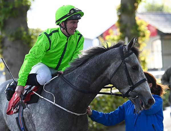 Gary Carroll is about to dismount Grey Leader  