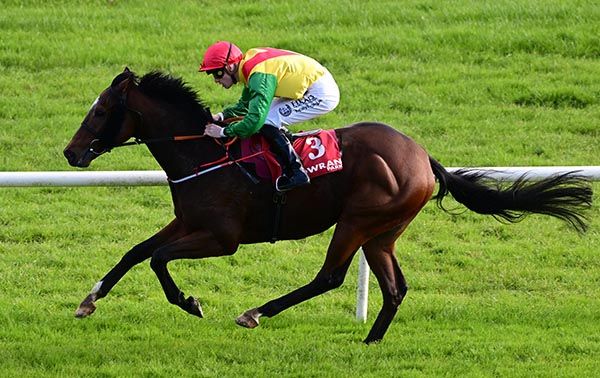 Highland Rahy and Joey Sheridan