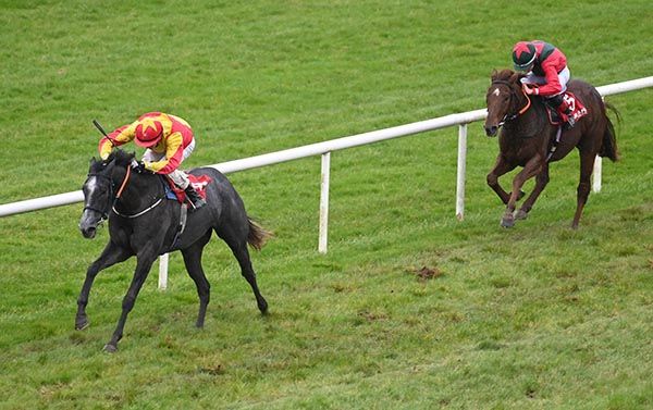 Rough And Tough and Ben Coen win the Dine At Gowran Park Handicap Healy Racing Photo
