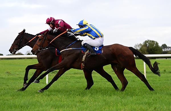 The Busy Fool (nearest) gets the better of The Enabler 