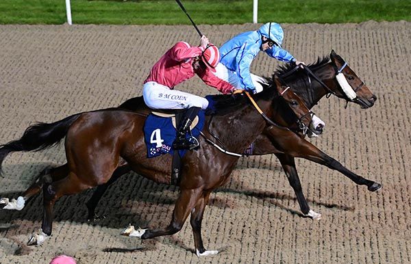 Bold Optimist & Oisin McSweeney (far side) beat Cross Border