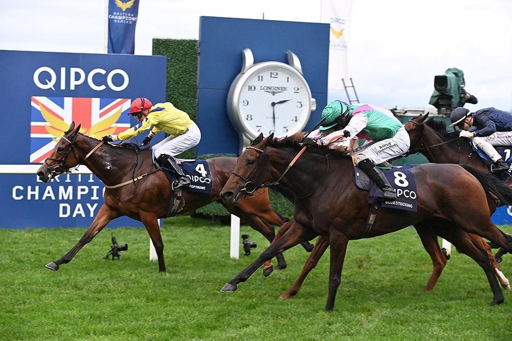 Poptronic beating Bluestocking (No.8) at Ascot