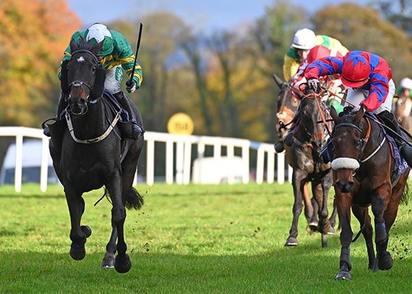 Drumcliff (left) beats Mustameet Secret (noseband)  