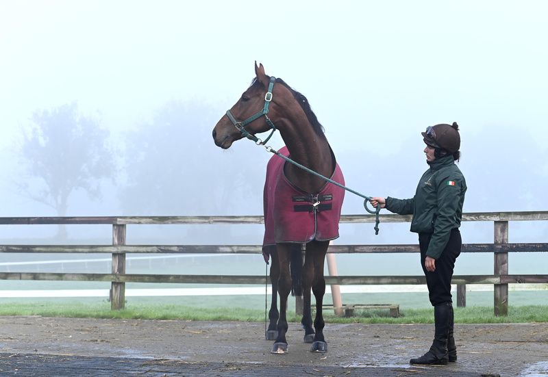 El Fabiolo and Sinead Walsh after morning gallops