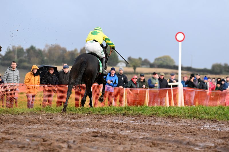 Handstands (seen winning his point-to-point at Moira)