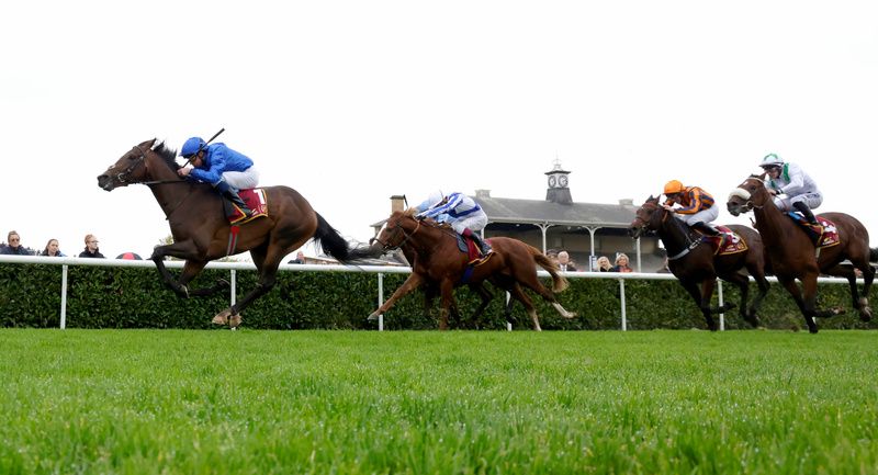 Devil's Point finishing second to Ancient Wisdom at Doncaster