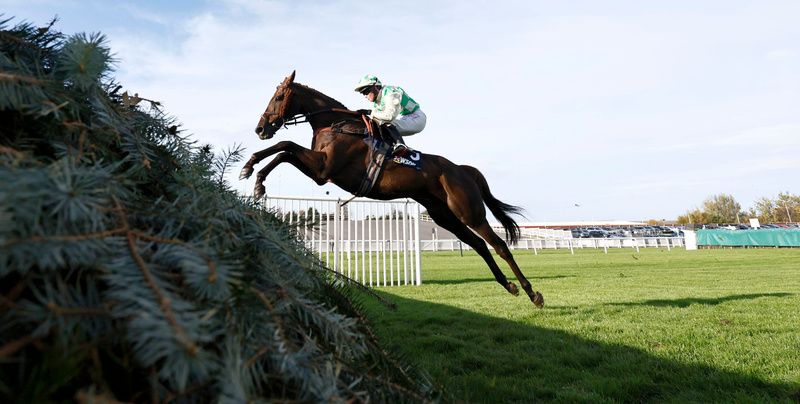 Celebre d'Allen and Elizabeth Gale winning at Aintree