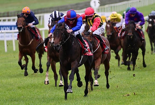 Samuel Colt is ridden clear