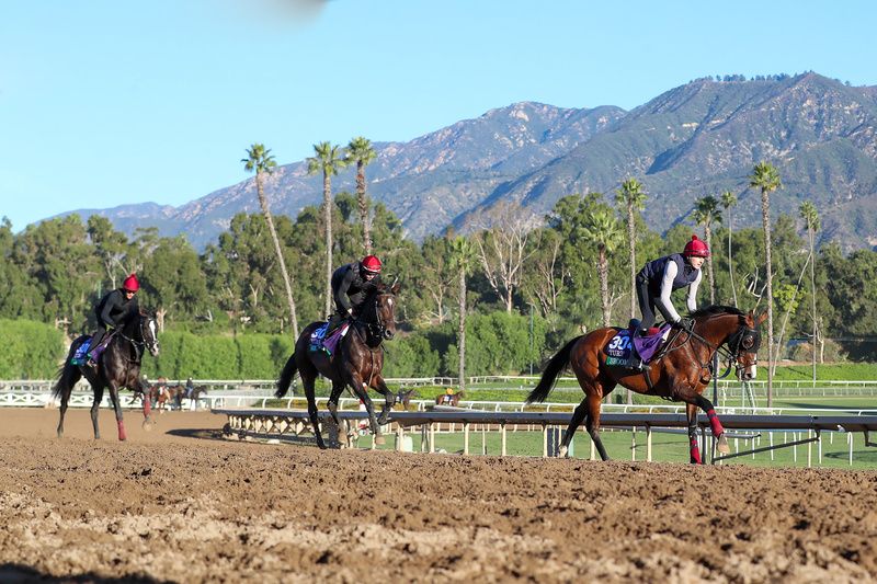 Auguste Rodin (left) exercising on the track at Santa Anita earlier this week