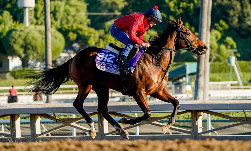 Givemethebeatboys pictured working at Santa Anita
