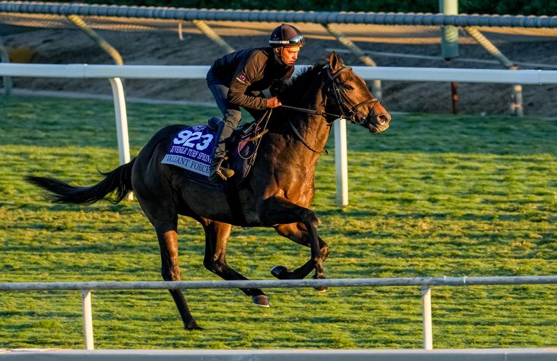 Valiant Force working on the Santa Anita track last week