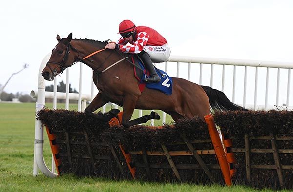 Mollys Mango brushes through the last under Jack Kennedy