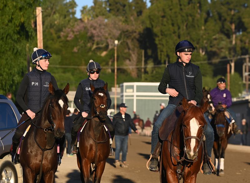 Donnacha O Brien right