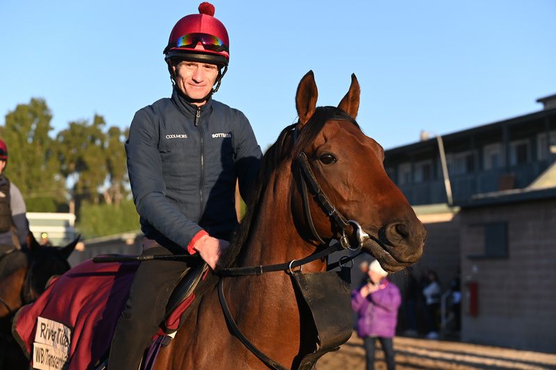  River Tiber and groom Roger Quinlan at Santa Anita