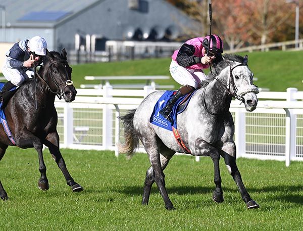 Big Gossey and Robert Whearty win the Sheehy Motors Volkswagen Race 
