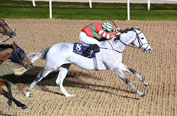 Snag It and Gavin Ryan