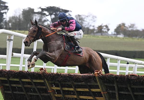 Stuzzikini jumps the last under Jack Kennedy