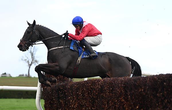 Allaho and Paul Townend pictured on their way to victory