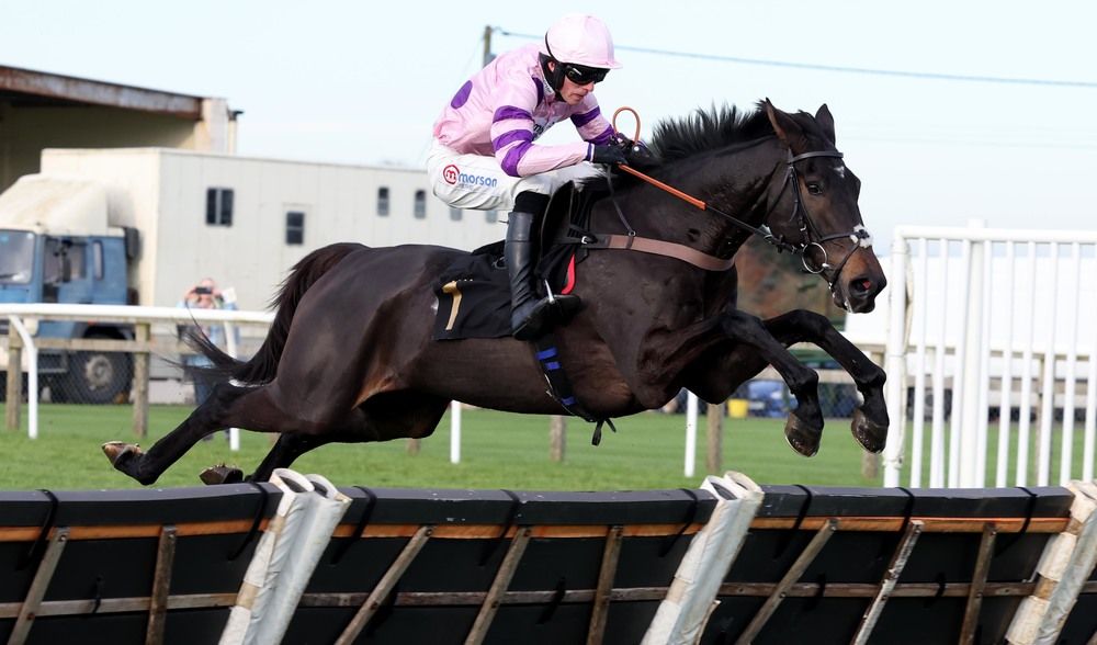 Rubaud and Harry Cobden (pink) winning The Jenningsbet Elite Hurdle Wincanton 11.11.23Healy Racing
