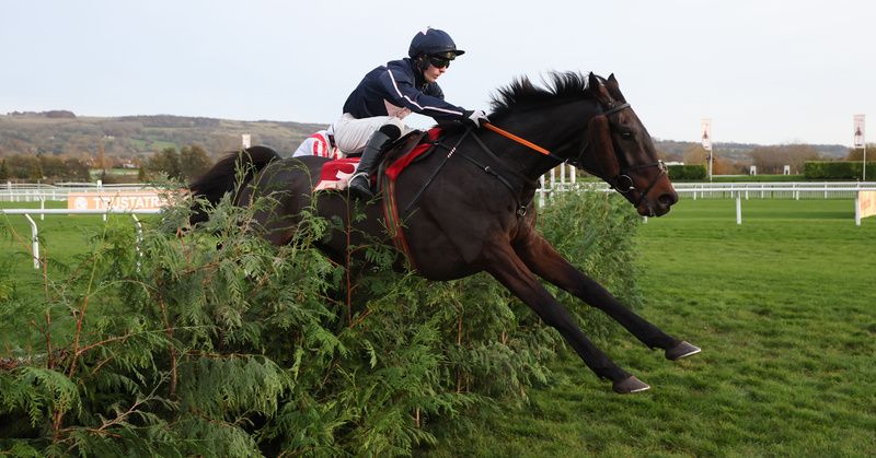 Foxy Jacks will bid to give trainer Mouse Morris a second Aintree Grand National. 