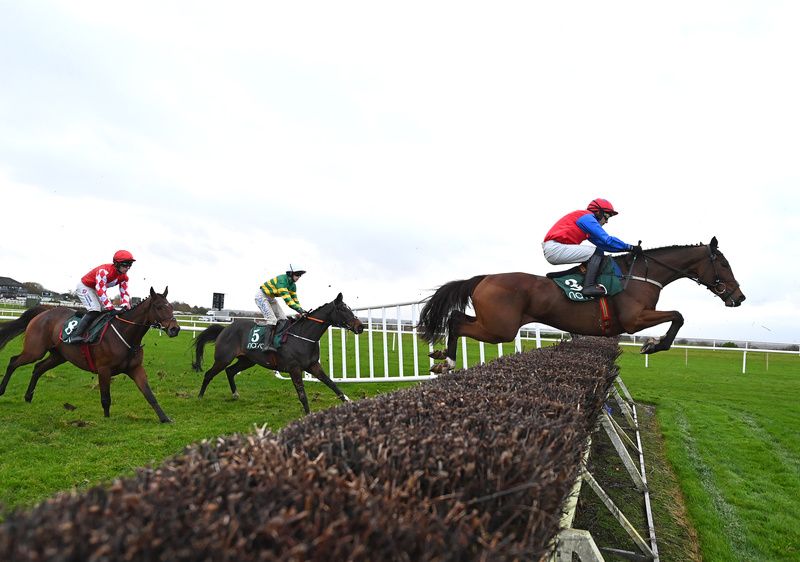 Facile Vega making a winning start over fences at Navan